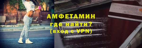 гашиш Богданович
