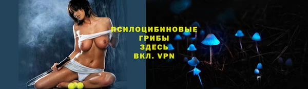 jwh Богородицк