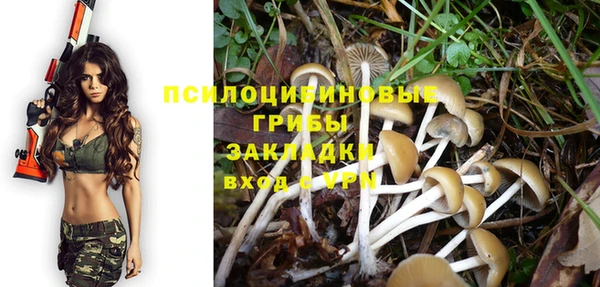 jwh Богородицк