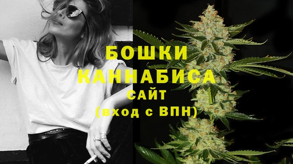 гашиш Богданович