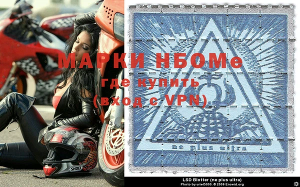 гашиш Богданович