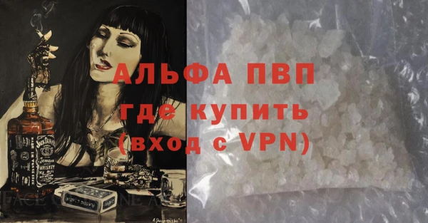 гашиш Богданович