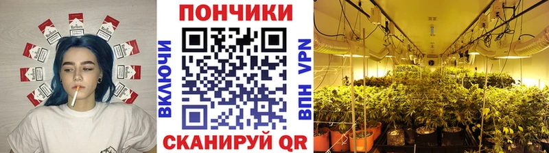 где купить наркоту Пыть-Ях Канабис семена